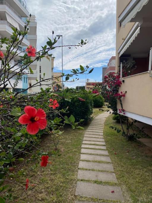 Alguer Zizi Apartman Kültér fotó